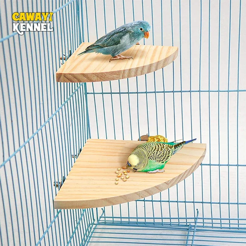 Wooden Fan-Shaped Bird Perch – Natural Stand for Parrot and Small Pets