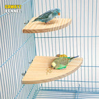 Wooden Fan-Shaped Bird Perch – Natural Stand for Parrot and Small Pets