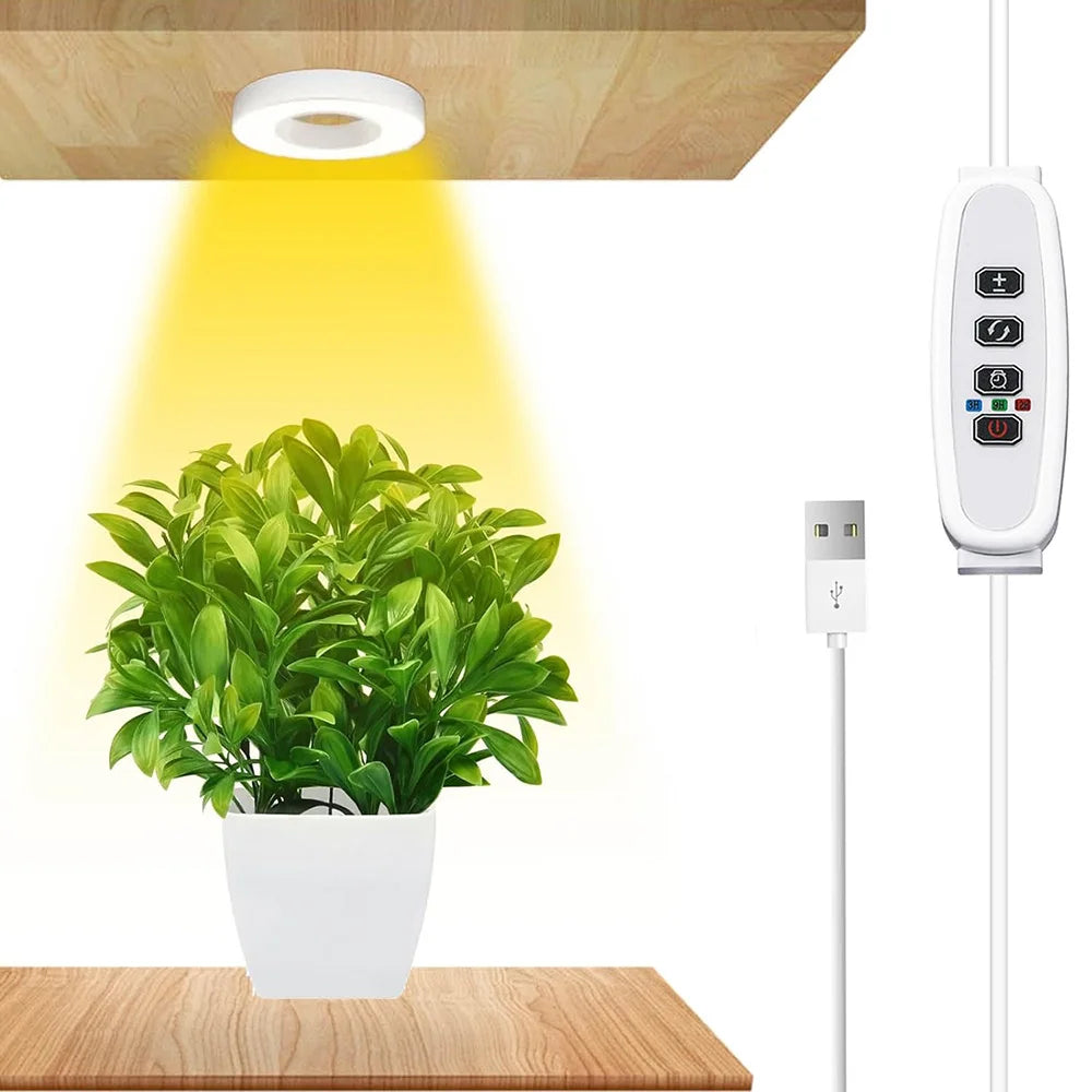 Full Spectrum Halo LED Grow Light – Dimmable Timer Lamp for Indoor Plants