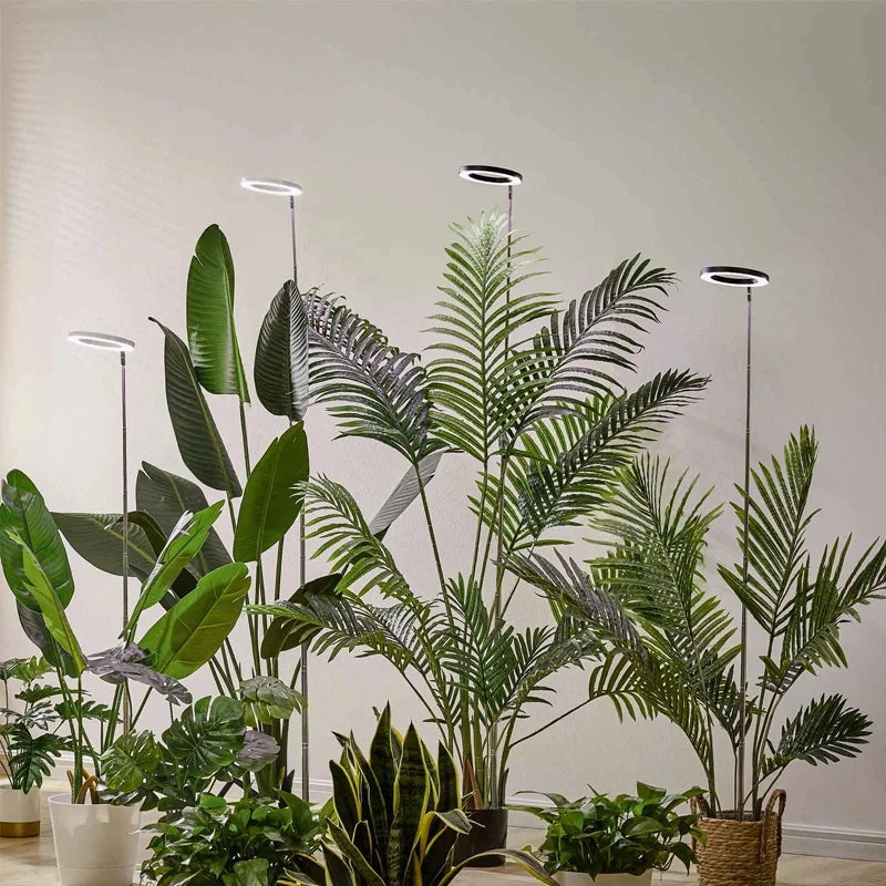 LED Ring Grow Light – 165cm Adjustable Full Spectrum Lamp for Indoor Plants