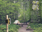 Perimeter Trip Wire Alarm – Portable Security for Camping and Fishing