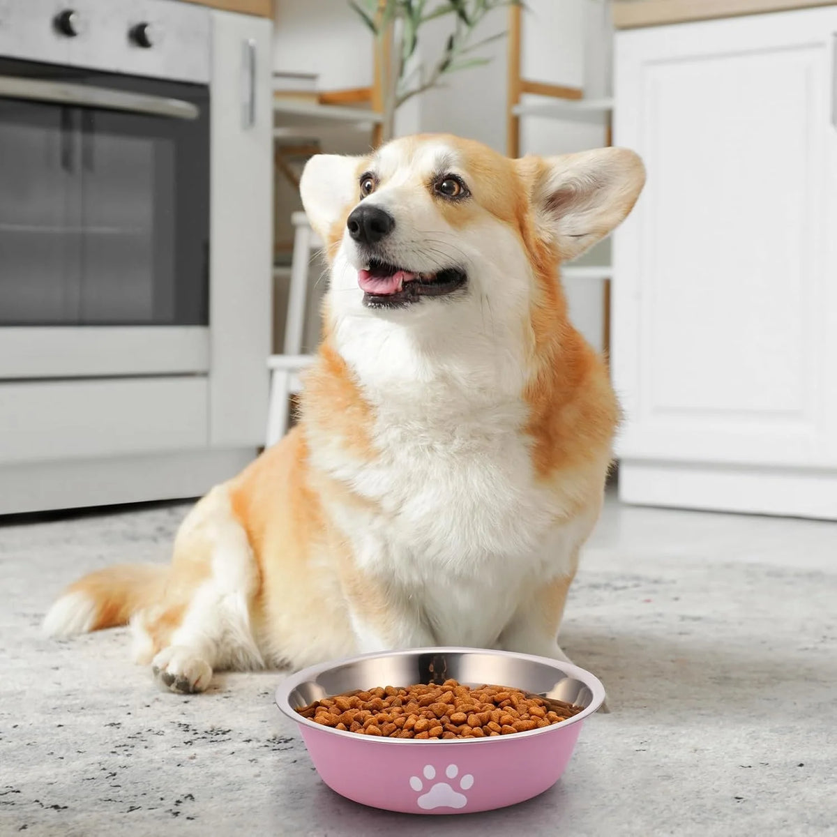 Stainless Steel Dog Bowls – Non-Slip Base for Dog and Cat Feeding
