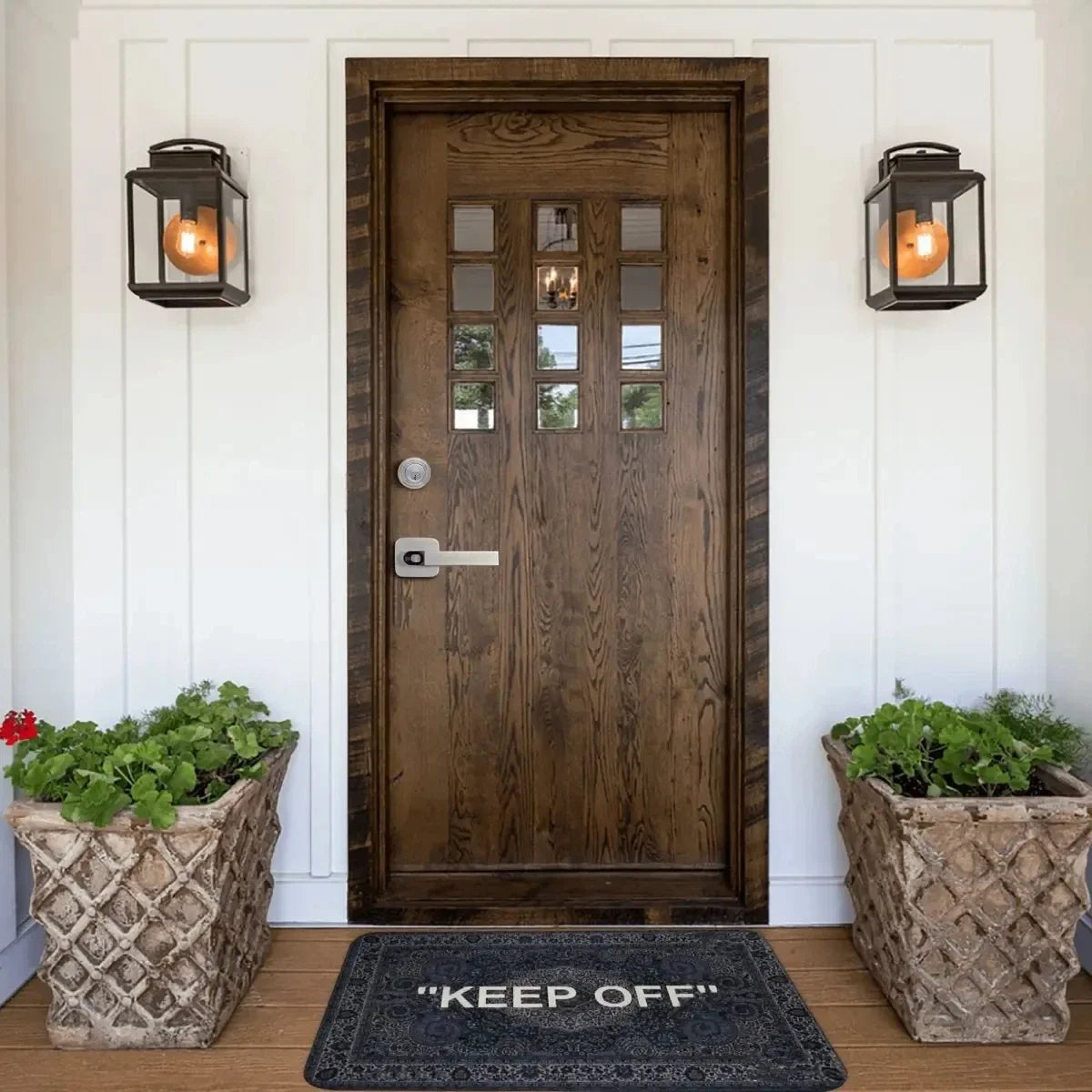 Non-Slip Floor Mat – Decorative Rug for Living Room Entrance and Hallway