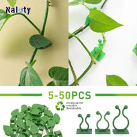 Self-Adhesive Vine Clips – Invisible Plant Climbing Wall Fixture for Garden