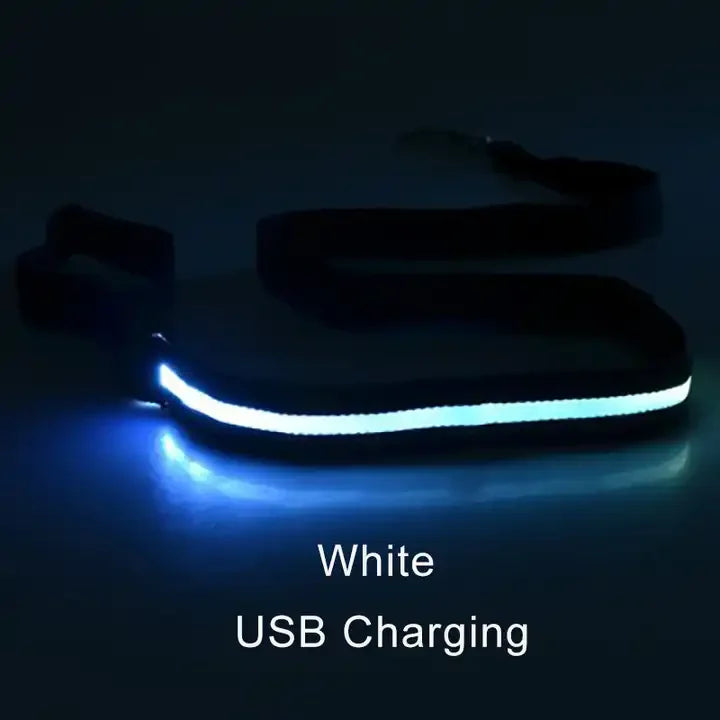 LED Flashing Dog Leash – Luminous Safety Rope for Night Walking