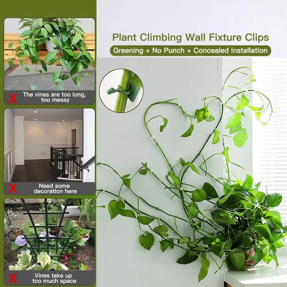 Self-Adhesive Vine Clips – Invisible Plant Climbing Wall Fixture for Garden