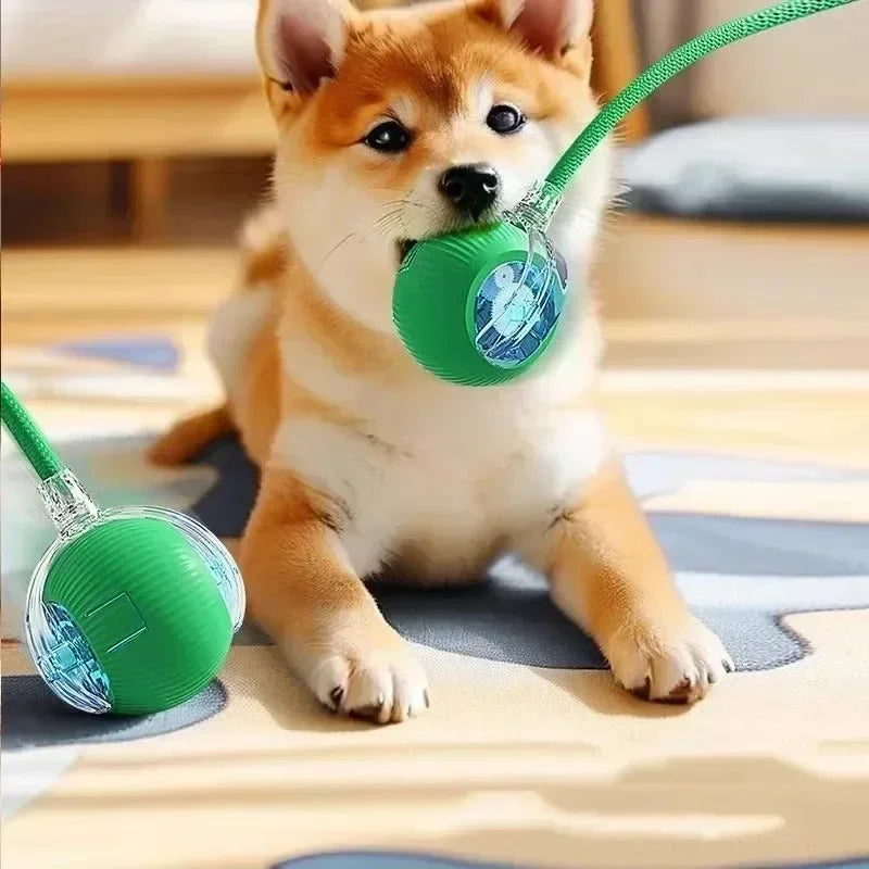 Interactive Rolling Cat Ball – Rechargeable Smart Toy for Pet Training