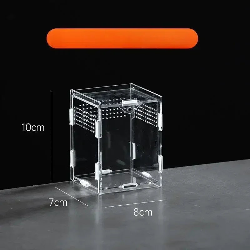 Acrylic Reptile Terrarium – Nano Arboreal Enclosure for Spiders and Insects