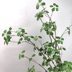 Artificial Green Vine – Realistic Hanging Plant for Home Wedding Decor