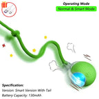 Interactive Rolling Cat Ball – Rechargeable Smart Toy for Pet Exercise