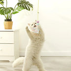 Hanging Door Cat Teaser Toy – Elastic Feather Wand for Boredom Relief