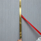 Stainless Steel Decorative Wall Strips – Titanium Mirror Finish for Home Decor