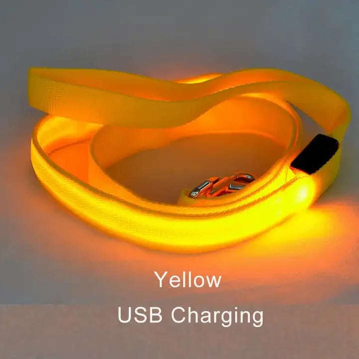LED Flashing Dog Leash – Luminous Safety Rope for Night Walking