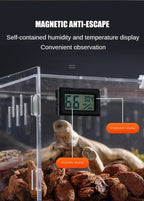 Acrylic Reptile Terrarium – Nano Arboreal Enclosure for Spiders and Insects