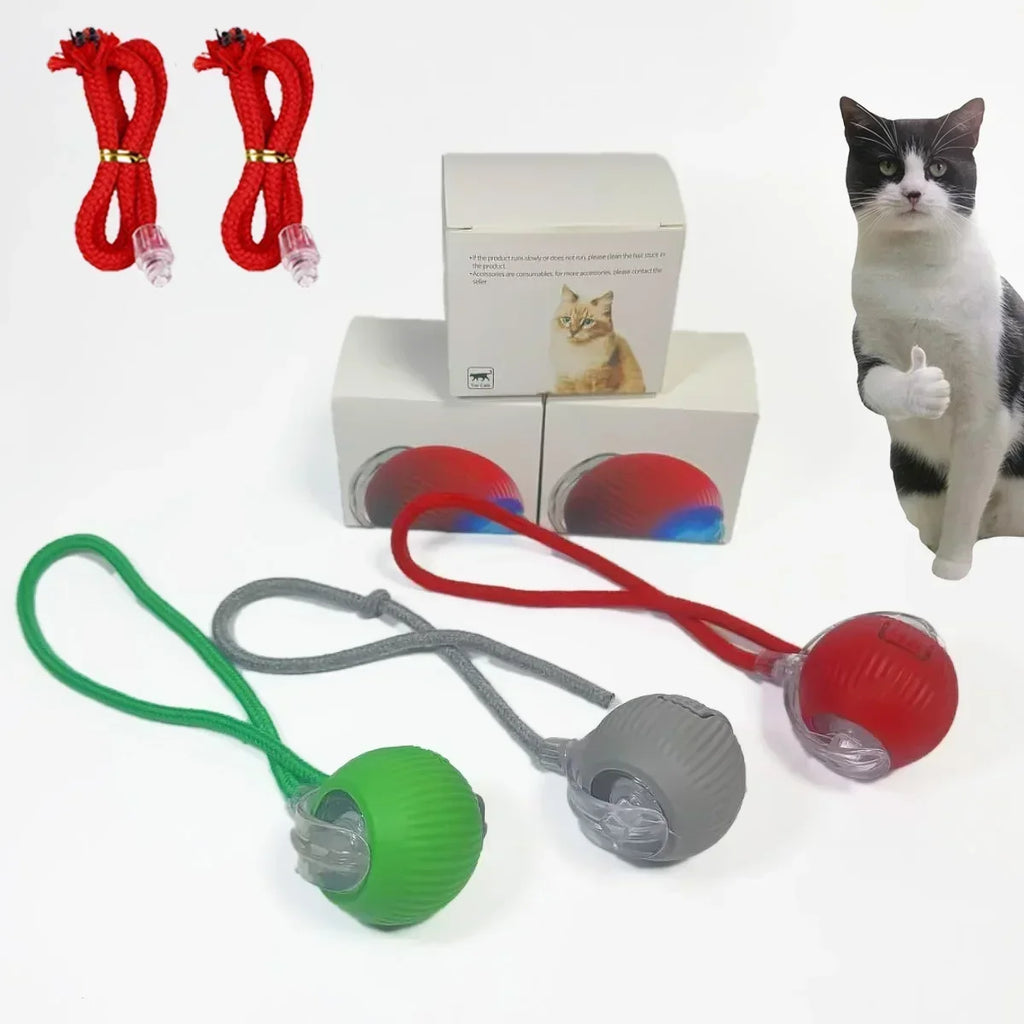 Interactive Rolling Cat Ball – Rechargeable Smart Toy for Pet Training