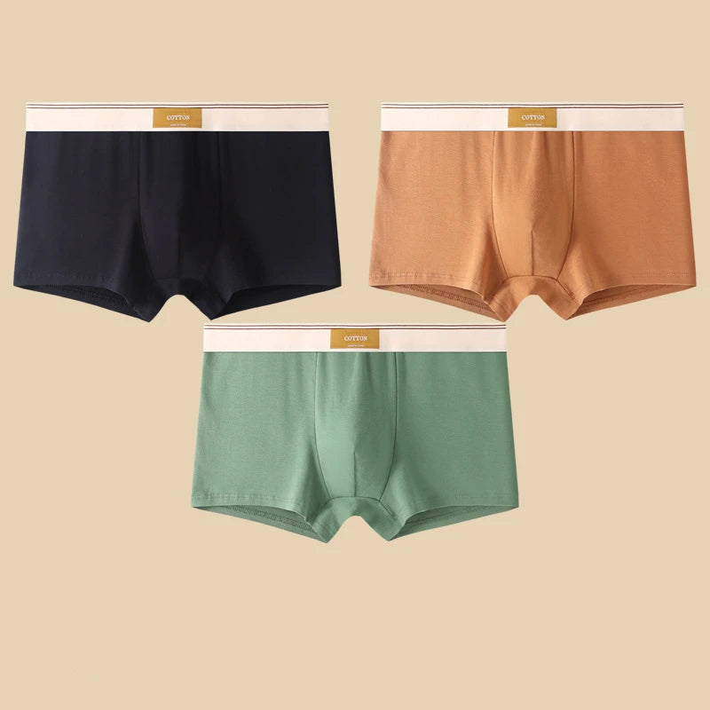 Cotton Boxer Briefs – Breathable Men’s Underwear for Everyday Comfort