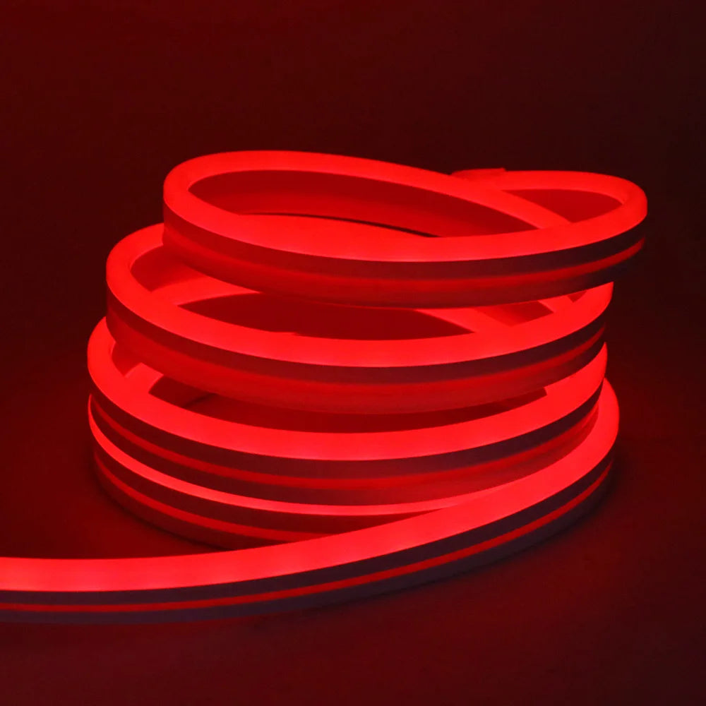 Bluetooth LED RGB Neon Strip – Waterproof Flexible Lights for Outdoor Pool Decor