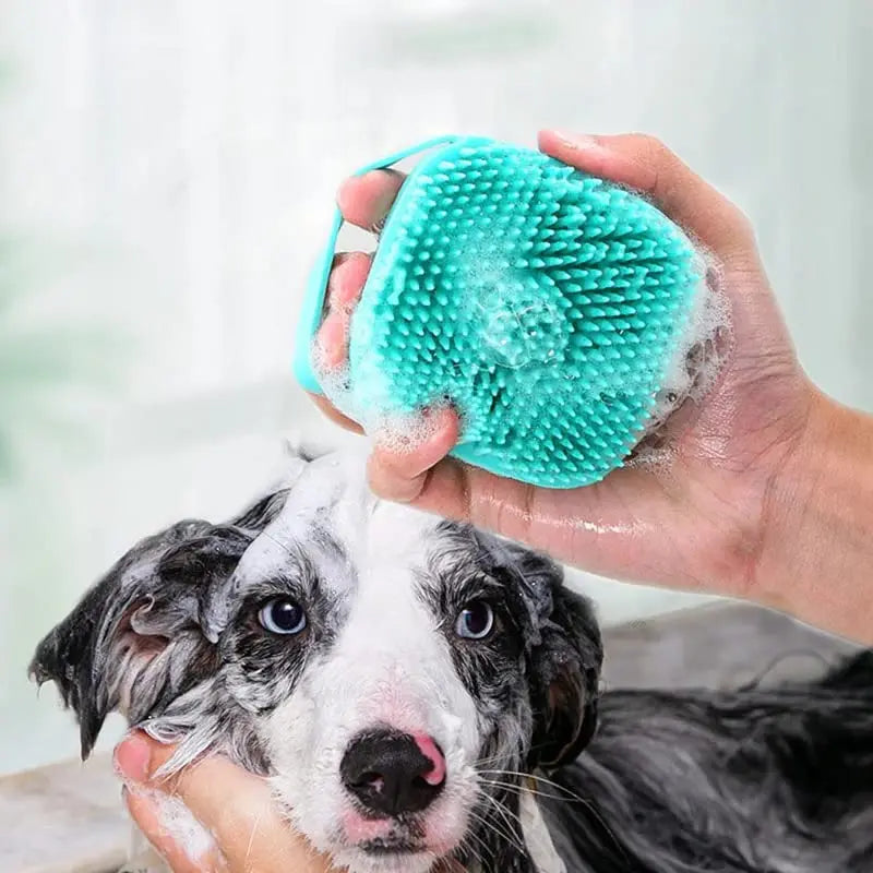Silicone Pet Grooming Brush – Shampoo Dispenser for Dogs and Cats Bathing