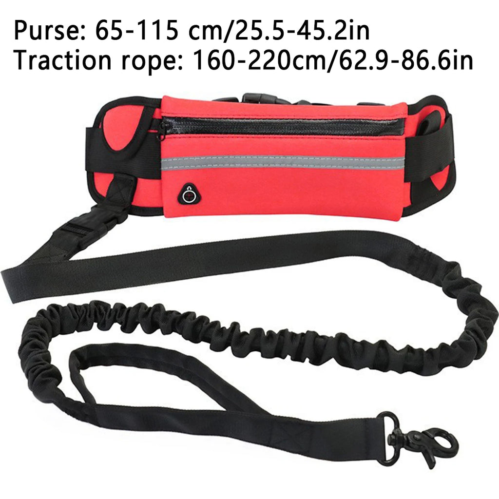 Hands-Free Dog Running Leash – Reflective Elastic Waist Belt for Outdoor Exercise