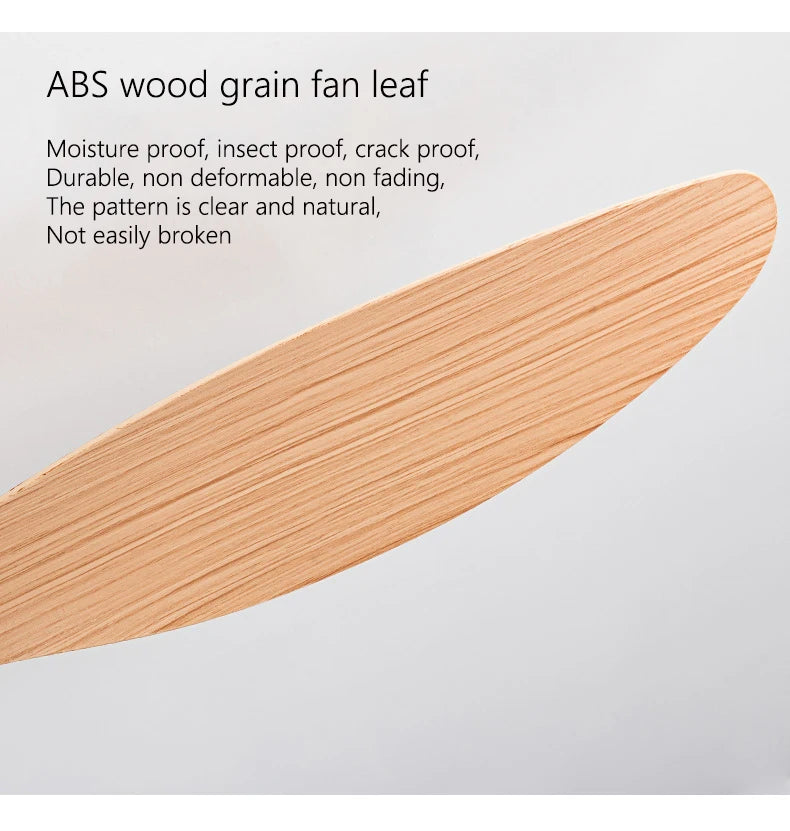 Modern LED Ceiling Fan – 42 52 Inch DC Motor for Nordic Home Lighting
