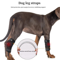 Dog Leg Joint Brace – Orthopedic Support for Arthritis Recovery