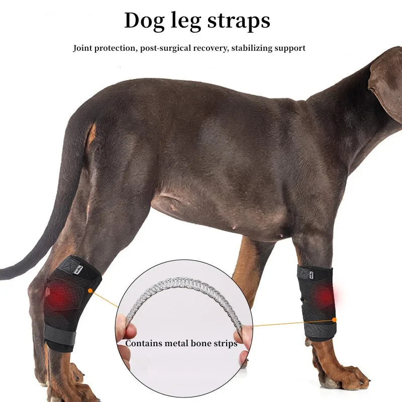 Dog Leg Joint Brace – Orthopedic Support for Arthritis Recovery