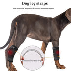 Dog Leg Joint Brace – Orthopedic Support for Arthritis Recovery