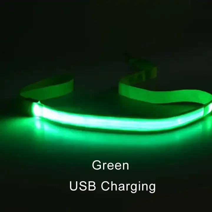 LED Flashing Dog Leash – Luminous Safety Rope for Night Walking