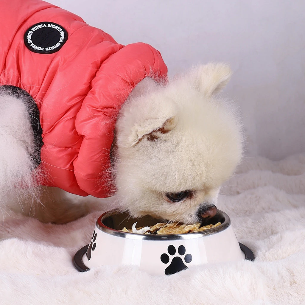 Stainless Steel Pet Bowl – Durable Anti-fall Food Bowl for Dogs and Cats
