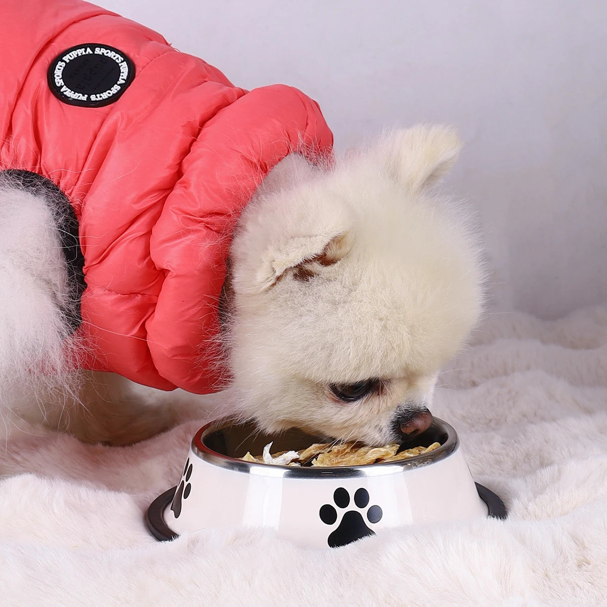 Stainless Steel Pet Bowl – Durable Anti-fall Food Bowl for Dogs and Cats