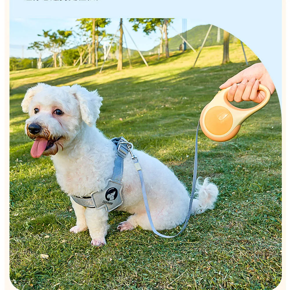 Retractable Dog Leash – Durable Nylon Lead for Small to Large Pets