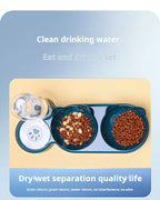 Tilted Cat Bowl Set – Gravity Water Feeder for Neck Protection