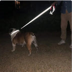 Reflective Pet Training Leash – Adjustable Safety Rope for Dog Walking