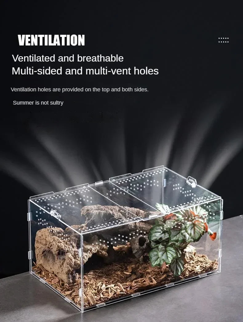 Acrylic Reptile Terrarium – Nano Arboreal Enclosure for Spiders and Insects