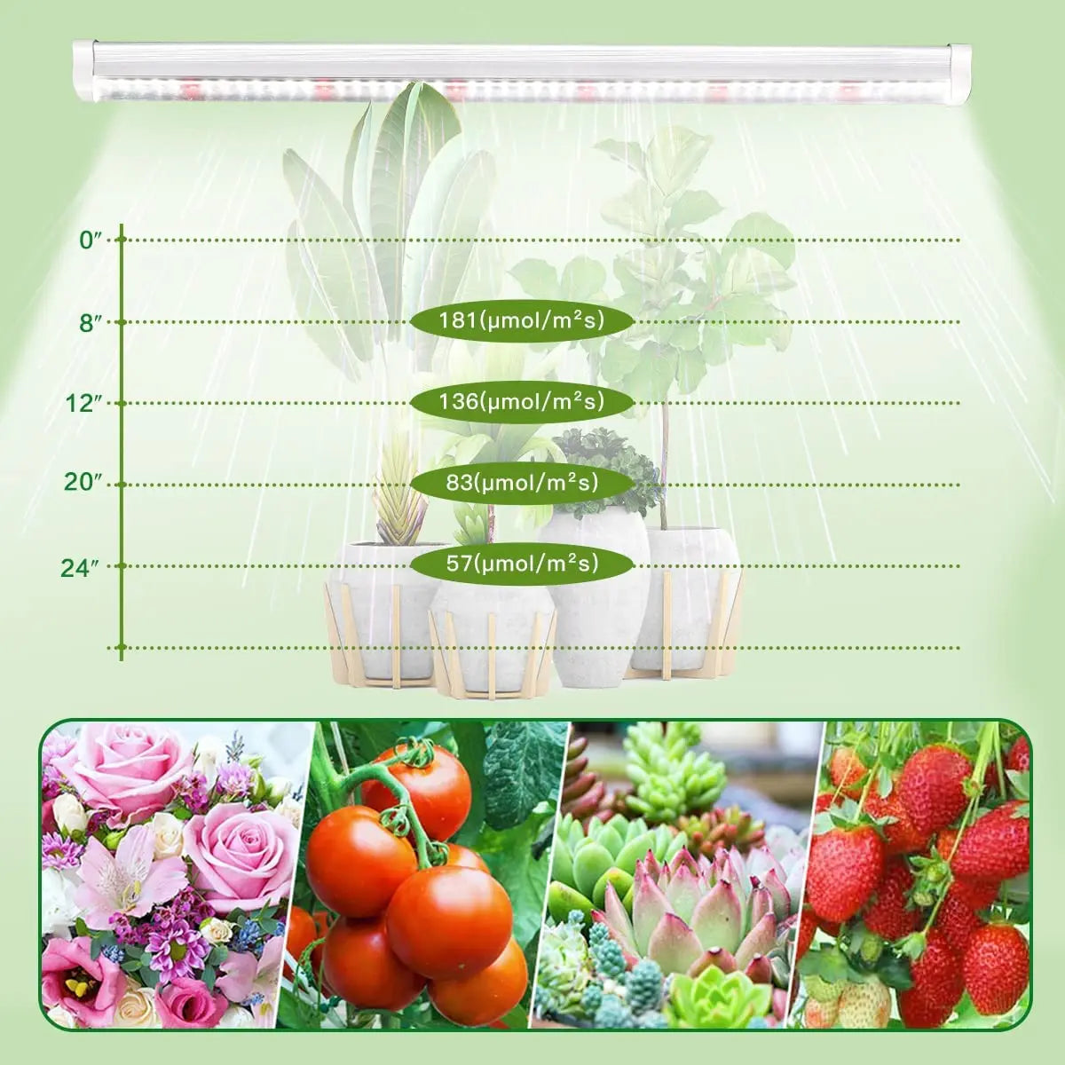 Full Spectrum LED Grow Light Strips – High PPFD Phyto Lamp for Indoor Plants