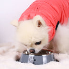 Stainless Steel Pet Bowl – Durable Anti-fall Food Bowl for Dogs and Cats