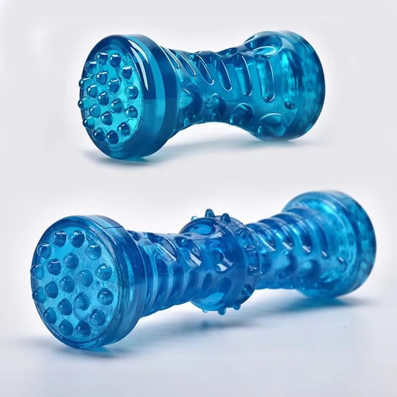 Durable Dog Chew Toothbrush – Interactive Bone Toy for Aggressive Chewers