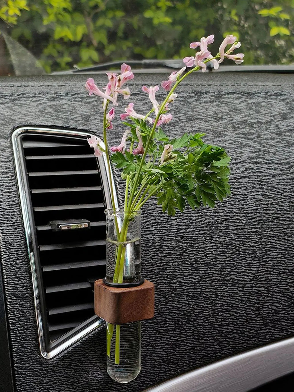 Mini Glass Plant Terrarium – Hanging Hydroponic Bottle for Car Interior Decor
