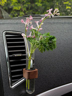 Mini Glass Plant Terrarium – Hanging Hydroponic Bottle for Car Interior Decor