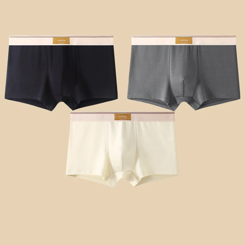 Cotton Boxer Briefs – Breathable Men’s Underwear for Everyday Comfort