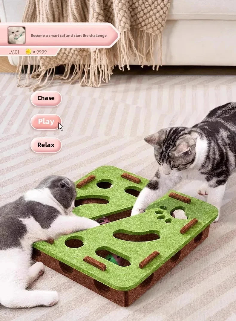 Felt Puzzle Box Toy – Interactive Hunting Exercise for Indoor Cats