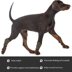 Dog Leg Joint Brace – Orthopedic Support for Arthritis Recovery