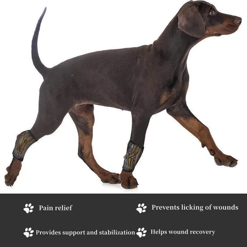 Dog Leg Joint Brace – Orthopedic Support for Arthritis Recovery
