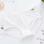 Cotton Briefs – Breathable Plus Size Underwear for Women Daily Comfort