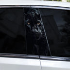 Lion Vinyl Car Decals – Waterproof B-Pillar Styling for Automotive Tuning