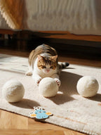 Silent Wool Cat Ball – Durable Interactive Toy for Boredom Relief and Chasing