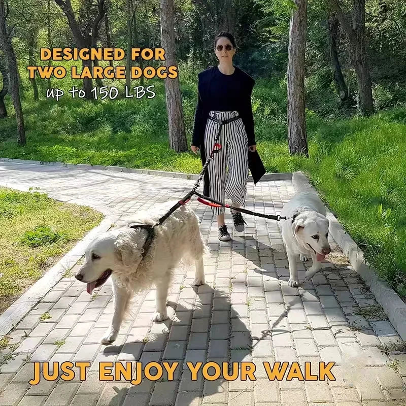 Dual Dog Leash Coupler – No-Tangle Padded Bungee for Two Dogs Walking