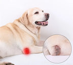 Dog Leg Joint Brace – Orthopedic Support for Arthritis Recovery