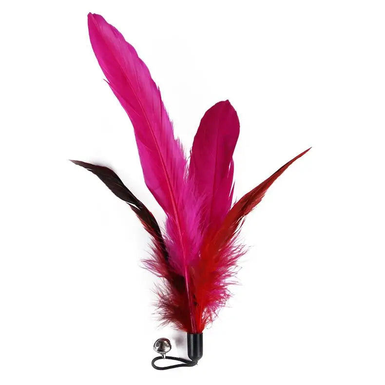 Interactive Cat Feather Toy Set – Retractable Wand for Indoor Pet Play
