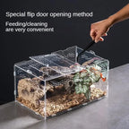 Acrylic Reptile Terrarium – Nano Arboreal Enclosure for Spiders and Insects